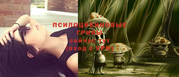трава Киренск