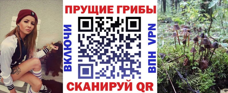 Псилоцибиновые грибы мухоморы  Купить  Кудрово 
